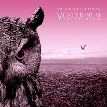 Vesterinen Yhtyeineen: Pöllöille kyytiä
