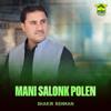Shakir Rehman: Mani Salonk Polen