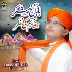 Syed Hassan Ullah Hussaini: Baba Ganj e Shakar