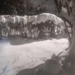 Сергей Краснопольский & Наталья Скворцова: Живничей