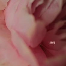 Lewis Capaldi: Survive